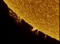 /album/soleil/protu-30-juillet-2013-jpg/